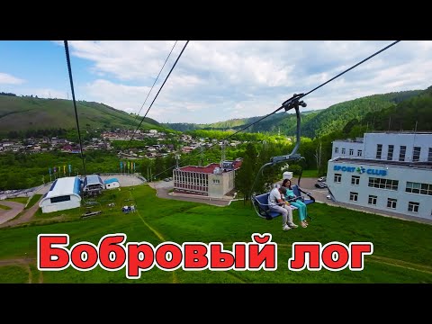 Видео: Бобровый лог 2023 год. г. Красноярск.