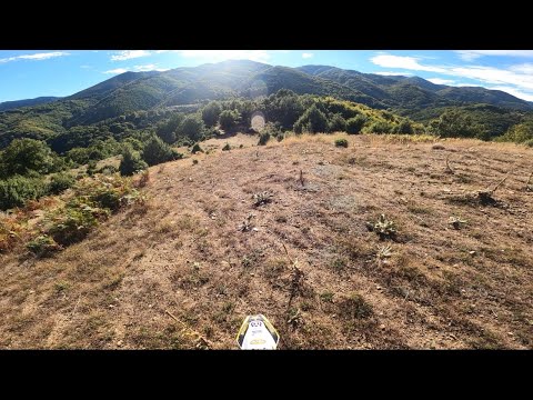 Видео: 05.10.2025 г.