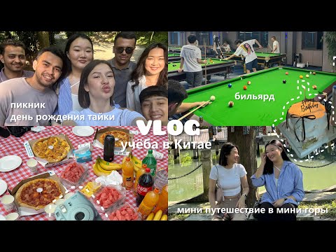 Видео: VLOG: учеба в Китае 🇨🇳 студенческая жизнь, пикник, мини путешествие в горы, Шанхай, собеседование