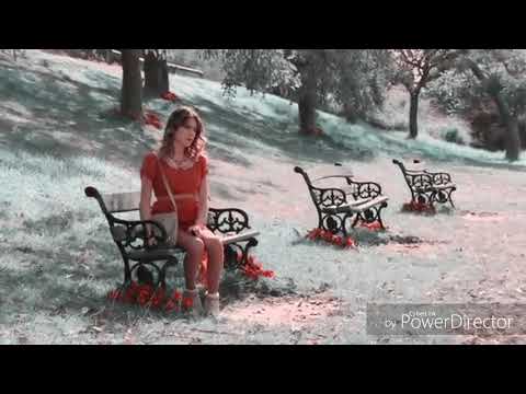 Видео: Виолетта и Леон Номер один