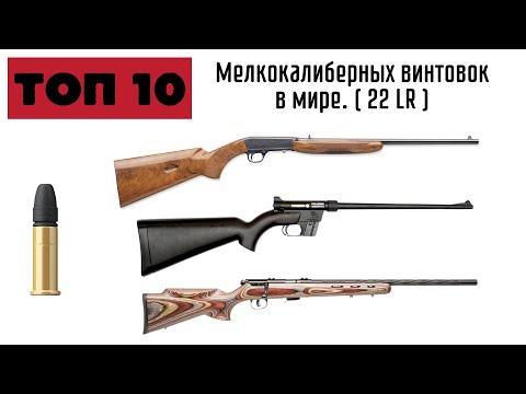 Видео: Топ 10 мелкашек в мире.  .22LR Мелкокалиберные винтовки мира.