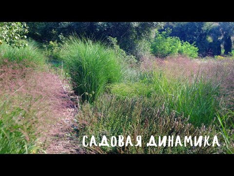 Видео: Садовая динамика