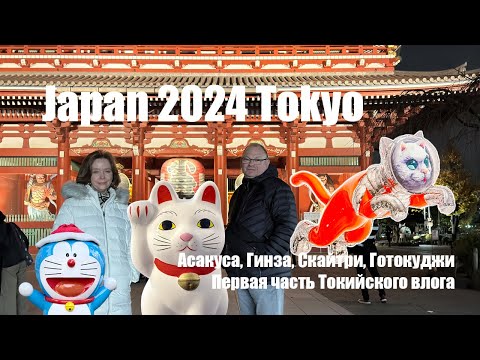 Видео: JAPAN Tokyo ЯПОНИЯ Токио vlog-5 2024