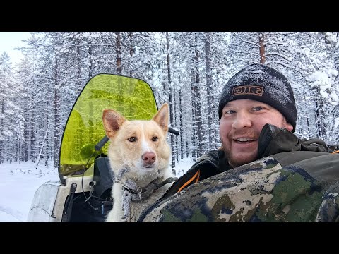 Видео: охота на соболя сезон 24/25 серия 12