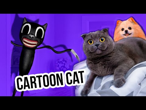 Видео: ПИТОМЦЫ ПРОТИВ КАРТУН КЭТ | CARTOON CAT В РЕАЛЬНОЙ ЖИЗНИ - НАПАЛ НА КИСУ БАТТЕРС И ШПИЦА ЭЛИС