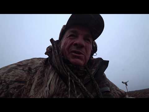 Видео: ОХОТА НА УТКУ НА ПОЛЕ 4 МНОГО УТКИ,И ОЧЕНЬ ПЛОХАЯ ПОГОДА