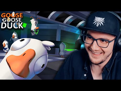 Видео: АМОГУС ГУСИ ► Goose Goose Duck ( Амогус ) #1