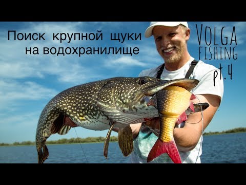 Видео: Свимбейт. Ловля крупной щуки на большие приманки.