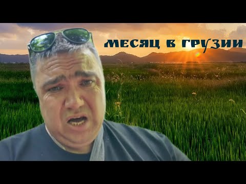 Видео: Устал после месяца проведённого в Грузии.