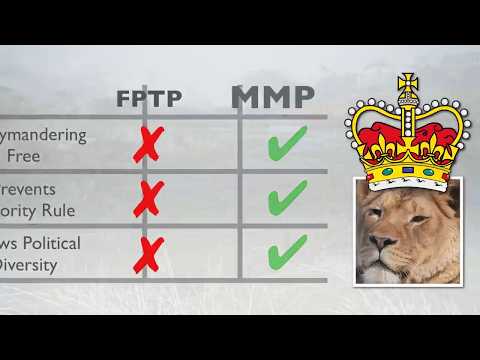 Видео: Объяснение принципа смешанного пропорционального представительства