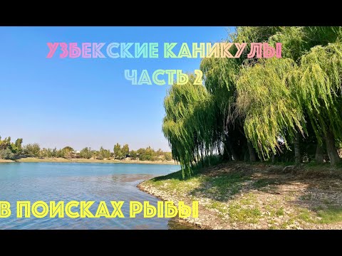 Видео: Узбекские каникулы  Часть 2  В поисках рыбы