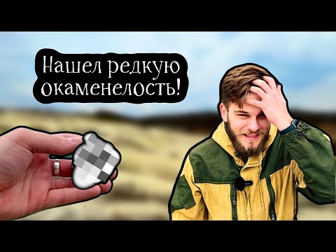 Видео: РЕДКАЯ находка! Поиск окаменелостей Мелового периода.