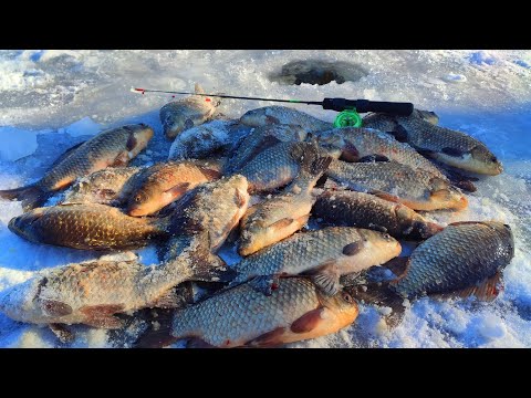 Видео: А ЩО ТАК МОЖНА БУЛО? Чому не зробив раніше?! Рибалка на карася. Ловля на боковий кивок.