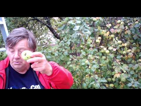 Видео: ЧК_МИФ_1_2_1_*_(L3)_ЗАКОНЫ НЬЮТОНА КАК БАЗА ДЛЯ КЛАССИЧЕСКОГО УРАВНЕНИЯ ДВИЖЕНИЯ