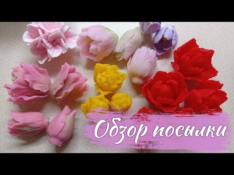 Видео: Новинки с мыльной вечеринки