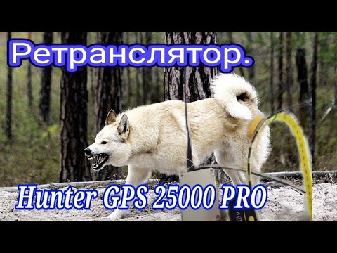 Видео: Ретранслятор для ошейников Huntet GPS 25000 Pro