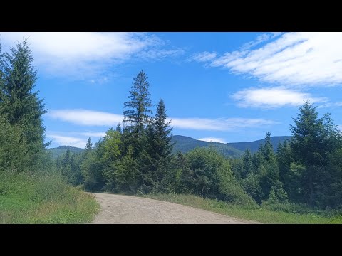 Видео: Бескиди. Безіменне озеро. Краса Карпат.