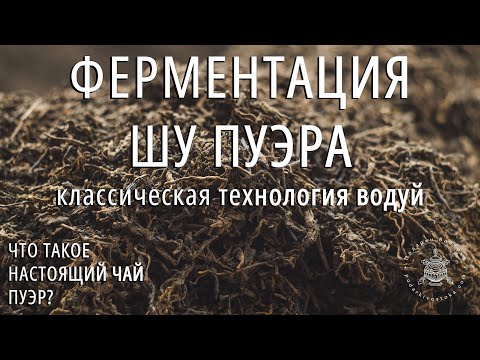 Видео: Что такое настоящий чай пуэр? Ч.4: Ферментация чая шу пуэр. Технология Во Дуй. Podarkivostoka.