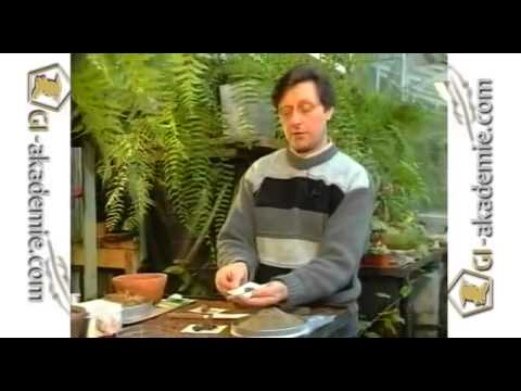 Видео: №2 Советы садоводу от Юрия Борисовича Марковского