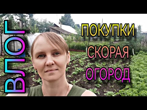 Видео: ВЛОГ. Вызывали скорую мужу, порезала палец, посылочки, коррекция, огород и др.
