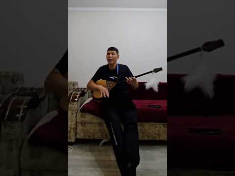 Видео: 31 октября 2024 г.