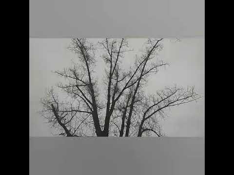 Видео: Зеленодольск/мой город/я икаю