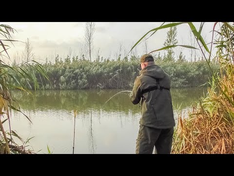 Видео: ДА КТО В ЭТОЙ ЯМЕ!!!? ПРОВЕРИЛ ЕЩЕ ОДНУ, НЕ ОЖИДАЛ ТАКОГО КЛЕВА!!! Рыбалка на донки осенью.