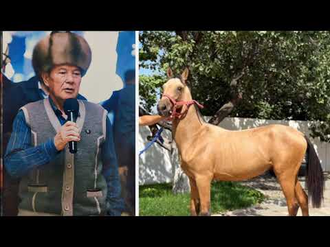 Видео: Чон улак чон маараке