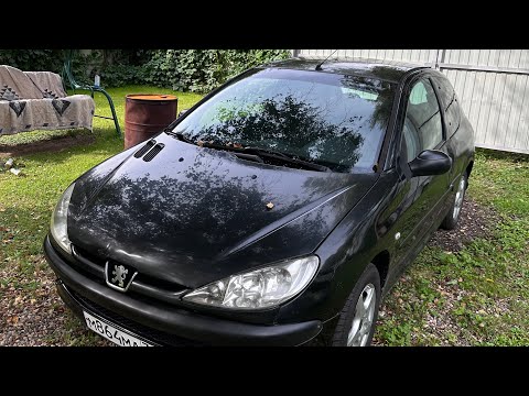 Видео: Продолжение истории Пыжкоротыж