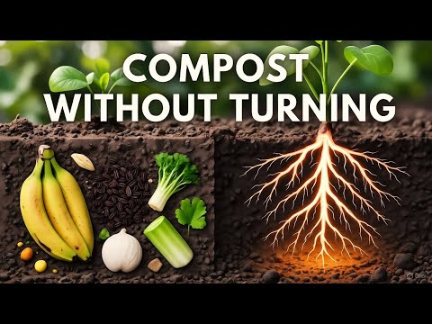 Видео: Метод компостного туннеля, который непрерывно питает корни