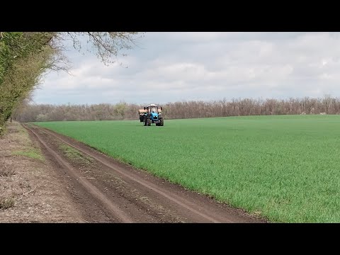 Видео: Вторая подкормка озимых