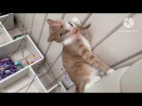 Видео: Старт и финиш. Обзор двух наборов. Продвижение процесса.🪡✨