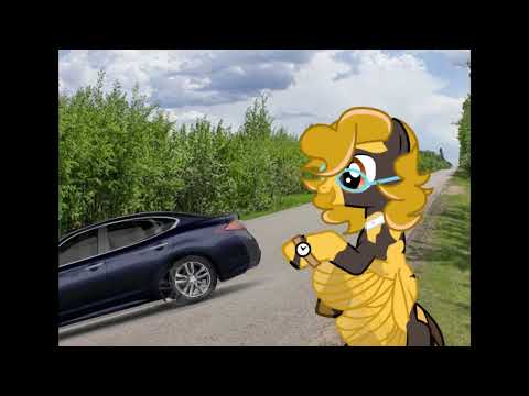 Видео: Пони [музыкальная дичь №6]