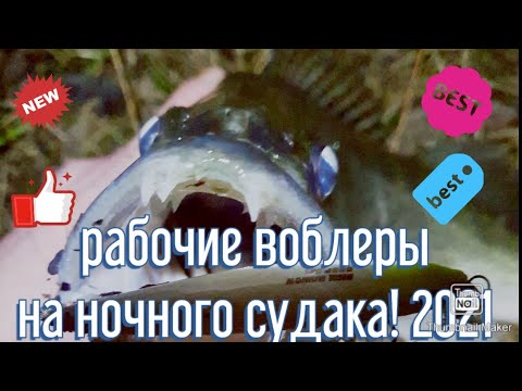 Видео: Воблеры на ночного судака 2021.  Как поймать судака