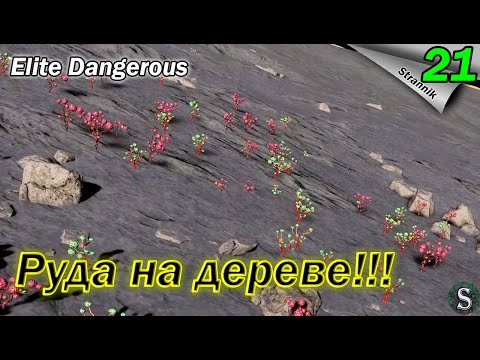 Видео: Собираем материалы в поле. Легко!!!  - Прохождение Elite Dangerous Odyssey #21