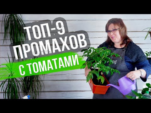 Видео: Рассада томатов: 9 ГЛАВНЫХ ОШИБОК