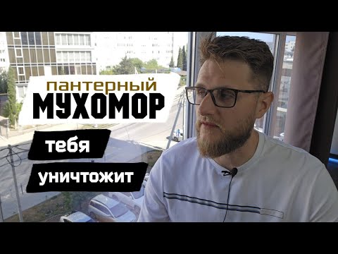 Видео: #МУХОМОРЫ  / Назад пути не будет...