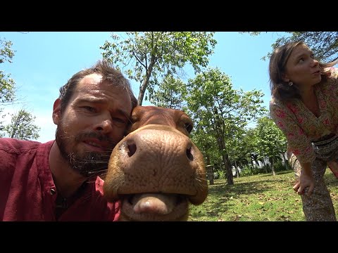 Видео: Вьетнам Дананг #11 Мы обязательно сюда вернемся!
