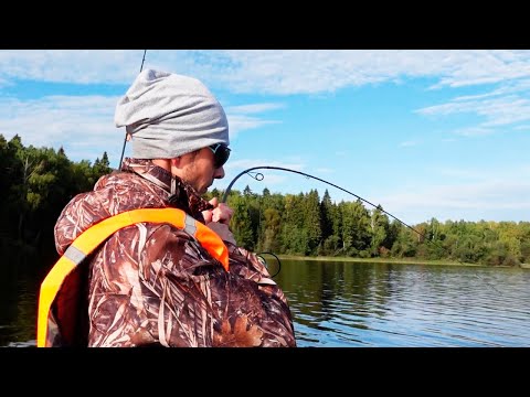 Видео: Рузкое Водохранилище/Спиннинг/ Максимум рыбалки со мной