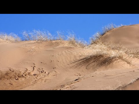 Видео: «Сынақ». Мойынқұм шөлі, Шу алқабы және Хантау тауы