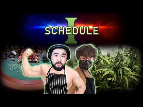 Видео: Реко Реко 2 уулаа хоол хийх хэрэгтэй байна. Schedule part 2 @rekofromtheunderground
