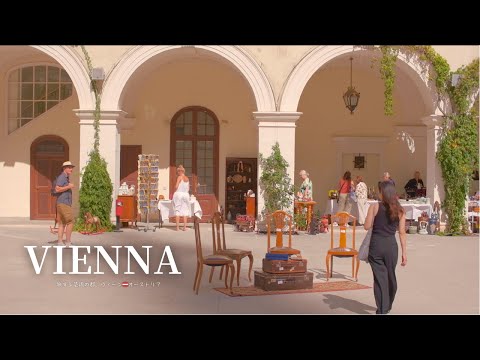 Видео: Влог｜2 дня в Вене, Австрия🇦🇹｜Кафе, Искусство и прогулки
