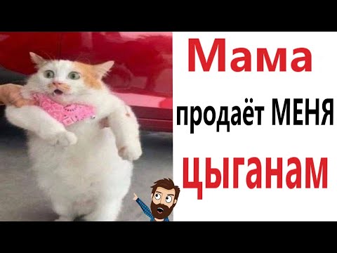 Видео: Приколы! 😱 МАМА ПРОДАЁТ МЕНЯ ЦЫГАНАМ! Смешные видео - Доми шоу!