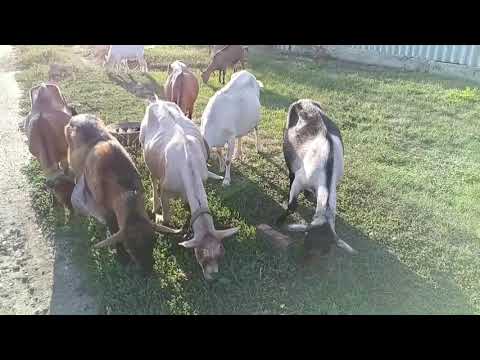 Видео: Дружковка 8 сентября 2025. Проблемы со светом(