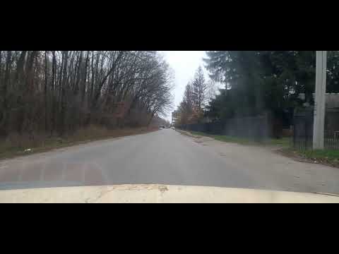 Видео: 8 ноября 2025 г.