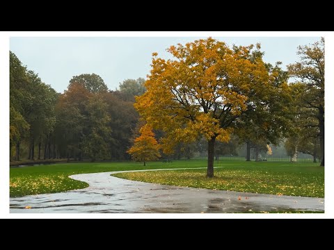 Видео: Студия Ольги Кондратовой в прямом эфире!