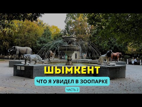 Видео: Шымкент | Что я увидел в зоопарке | Часть 2