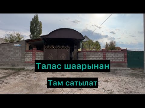 Видео: Шаңхайдан чоң там сатылат