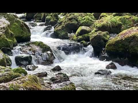 Видео: Austria, Mühlenweg und Schwarzenbachfall, Мельничная тропа круговая, Обершеффау