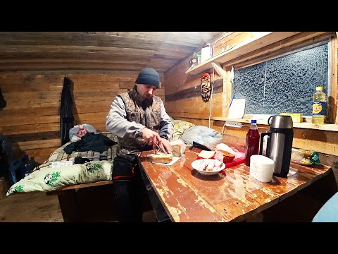 Видео: 2# НАВЕСТИЛ ТАЁЖНУЮ ИЗБУ \ ОДИН В НОЧНОМ ЛЕСУ\ ПРОБЛЕМЫ С ПЕЧКОЙ \ ЖИЗНЬ В ТАЙГЕ